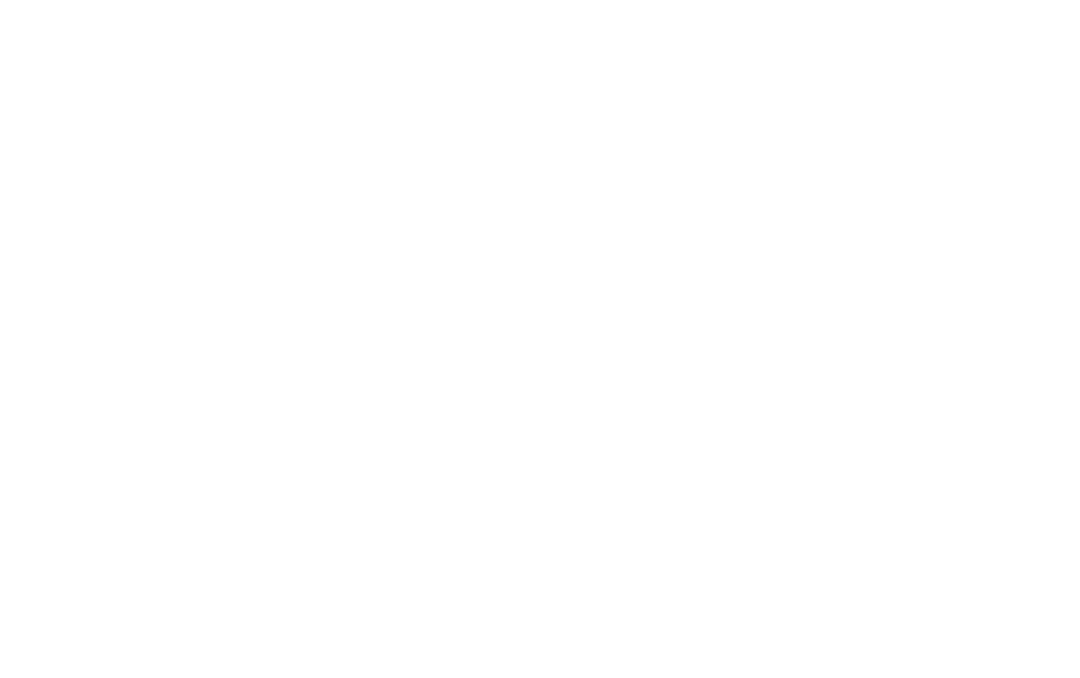 Superian Insurance Group Logo